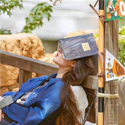 不可能的任务:鬼影行动
